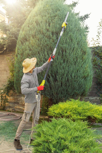 Best Lawn Maintenance Plans  in Shippensburg, PA